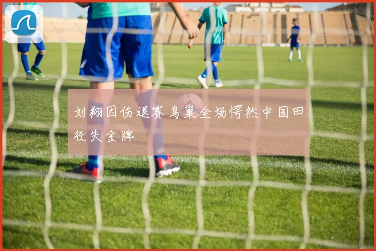 刘翔因伤退赛鸟巢全场愕然中国田径失金牌