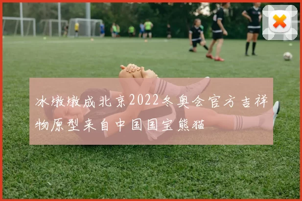 冰墩墩成北京2022冬奥会官方吉祥物原型来自中国国宝熊猫