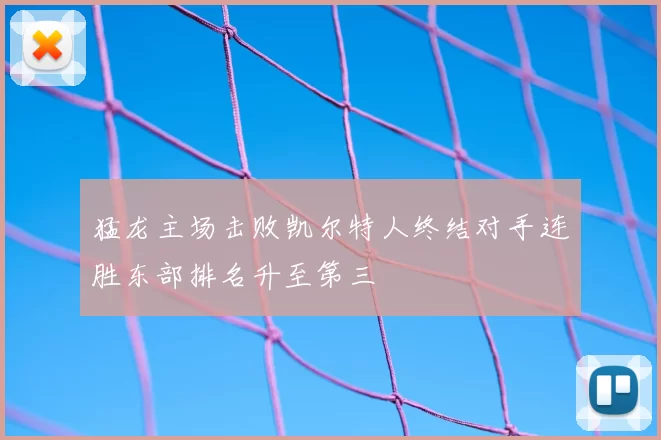 猛龙主场击败凯尔特人终结对手连胜东部排名升至第三