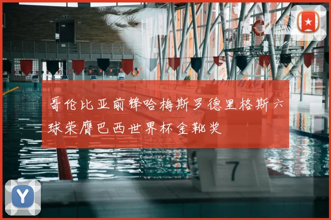 哥伦比亚前锋哈梅斯罗德里格斯六球荣膺巴西世界杯金靴奖