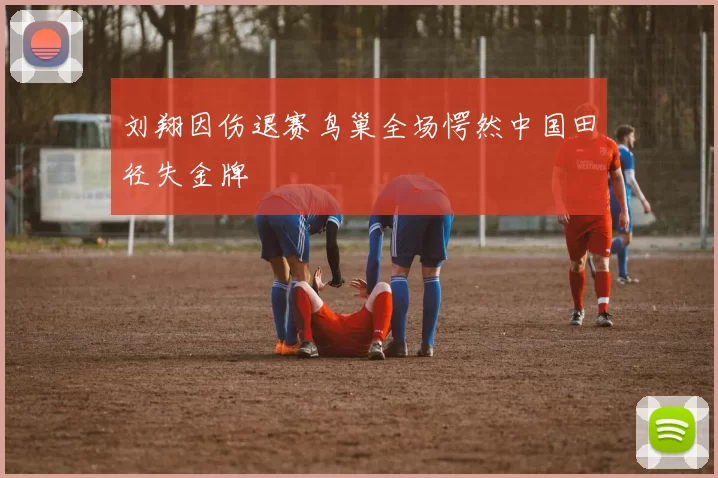 刘翔因伤退赛鸟巢全场愕然中国田径失金牌