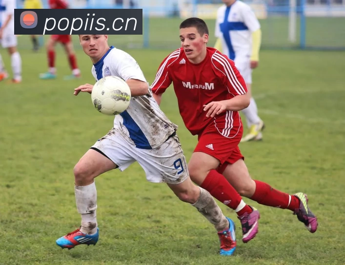 乐竞官方网站 - 乐竞lejing(中国)发展历程